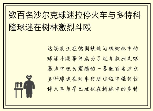 数百名沙尔克球迷拉停火车与多特科隆球迷在树林激烈斗殴
